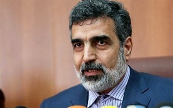 کمالوندی: برای گام سوم و چهارم آماده‌ایم/ افزایش سانتریفیوژ و غنی‌سازی جزو گزینه‌های ماست