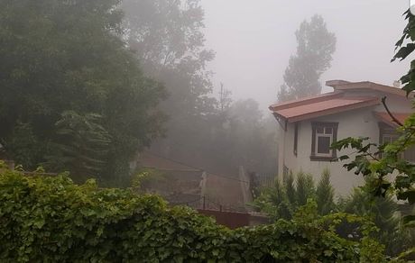شمال گردی خانم بازیگر پیسکسوت + عکس
